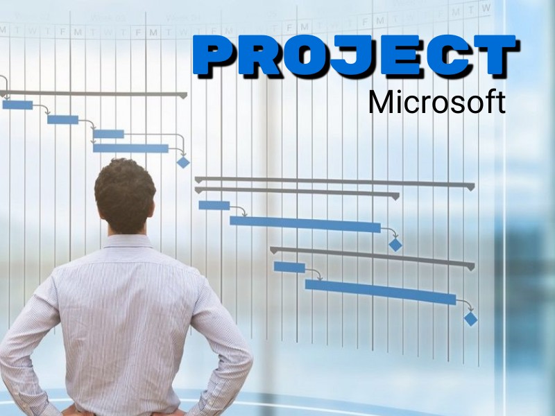 Microsoft Project Professional.  